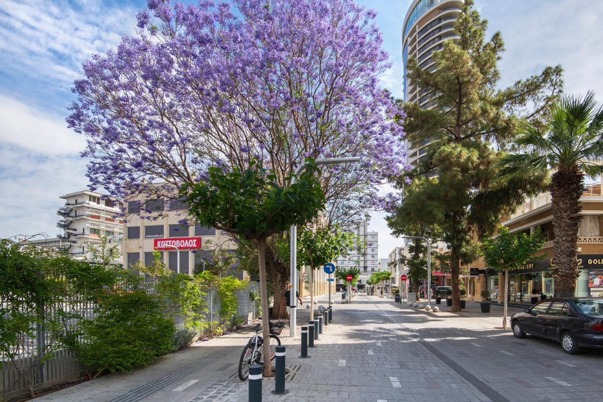 Urban 11 - 1 Bdr Nicosia